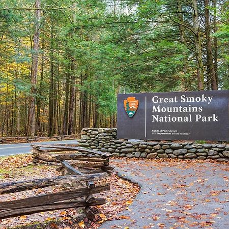 City Bear, 2Br, Pool, Spa, Downtown Gatlinburg, Sleeps 6 Leilighet Eksteriør bilde