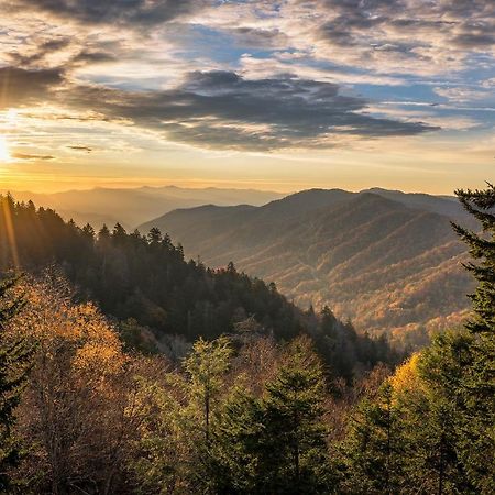City Bear, 2Br, Pool, Spa, Downtown Gatlinburg, Sleeps 6 Leilighet Eksteriør bilde