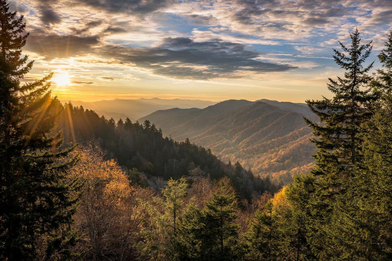 City Bear, 2Br, Pool, Spa, Downtown Gatlinburg, Sleeps 6 Leilighet Eksteriør bilde